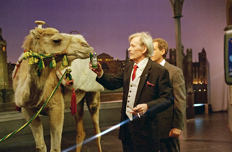 Peter O'Toole makes a grand entrance riding a camel on "The Late Show with David Letterman," May 17, 1995 on the CBS Television Network. This show was taped in London, England. Photo: Alan Singer/CBS ©1995 CBS Broadcasting Inc.