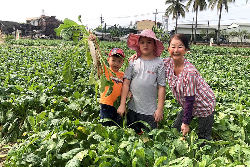 親子共遊採蘿蔔，圖片由傅爸爸蘿蔔園提供