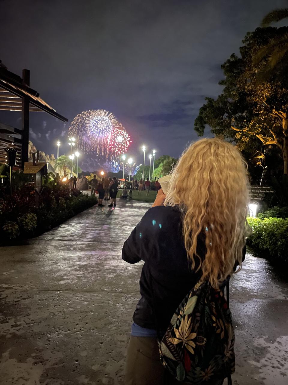 a person watching the fireworks show from afar