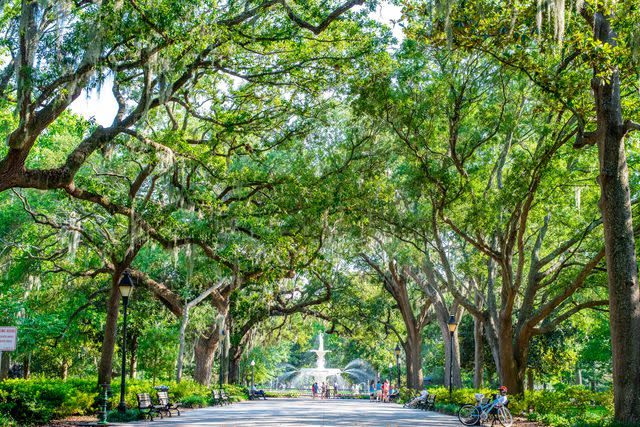 <p>Amy Luo/Moment/Getty Images</p> Forsyth Park, Savannah, Georgia