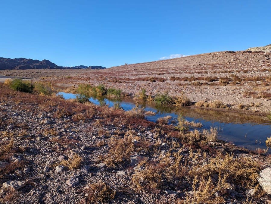 The channel connecting Boulder Harbor to Lake Mead on Jan. 5, 2024. (Photo courtesy, Michael Zauner)