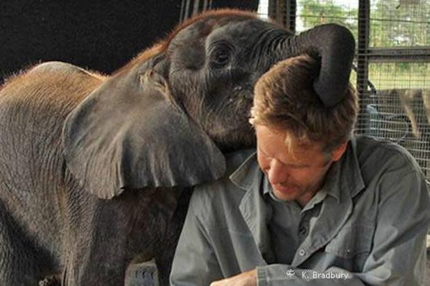 mike-with-baby-elephant.jpg