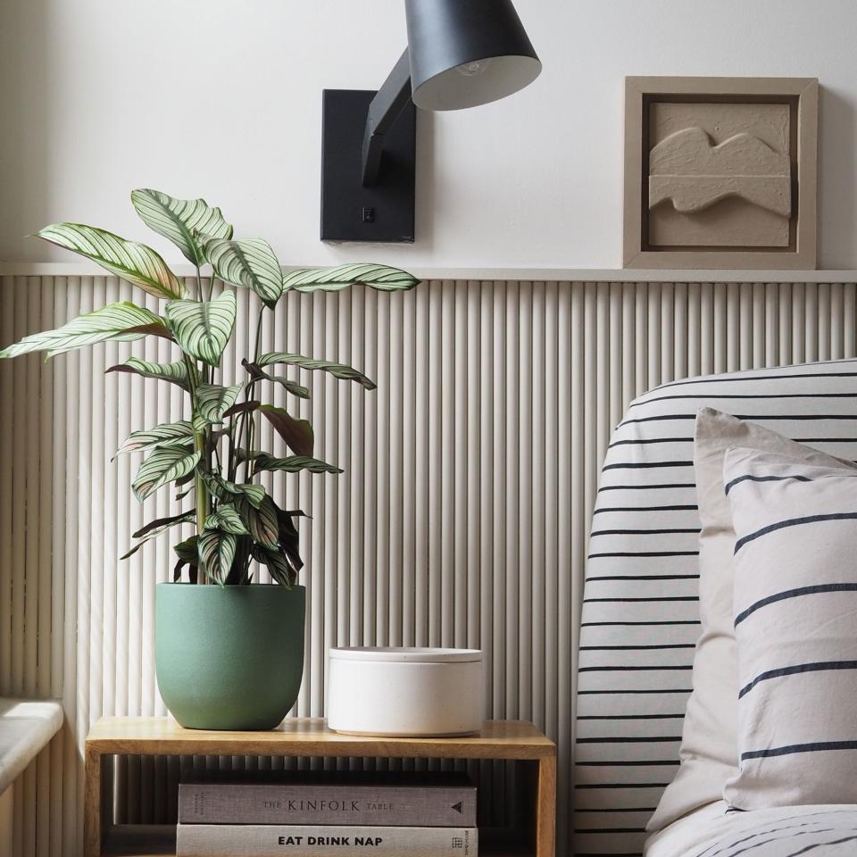 prayer plant in a green pot on a bedside table