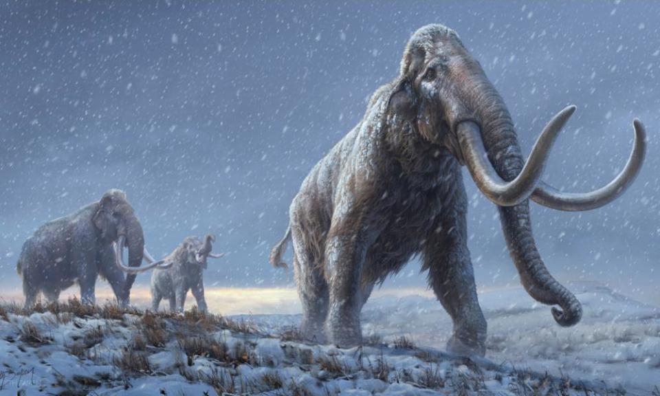 Steppe mammoth