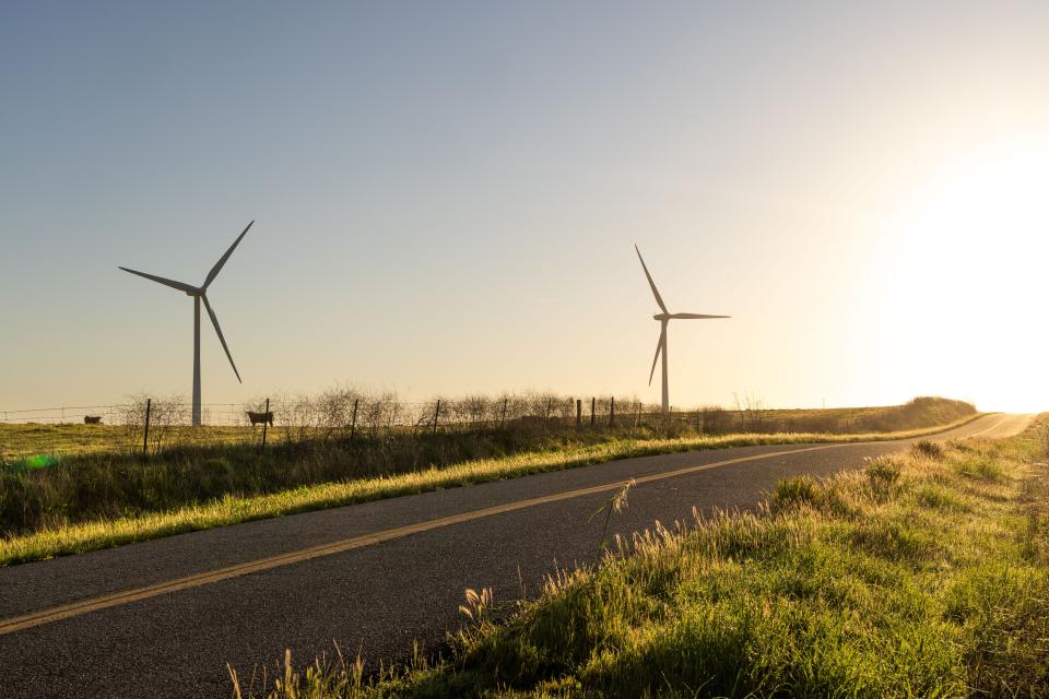 Gravel road with grass fields, wind turbines and cows