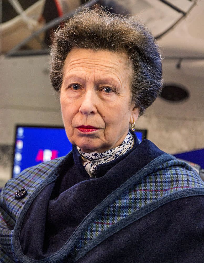 Princess Anne | Guy Bell/REX/Shutterstock