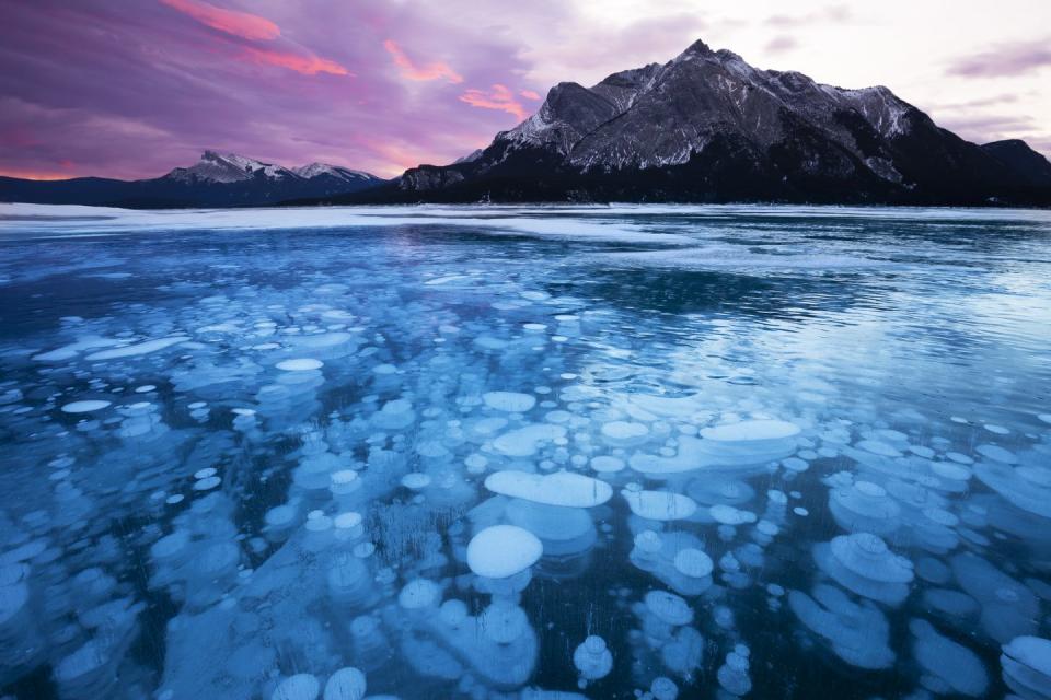 <p>Ice bubbles (formally, methane bubbles) at Abraham Lake with Mount Michener in the background, Alberta, Canada.</p>