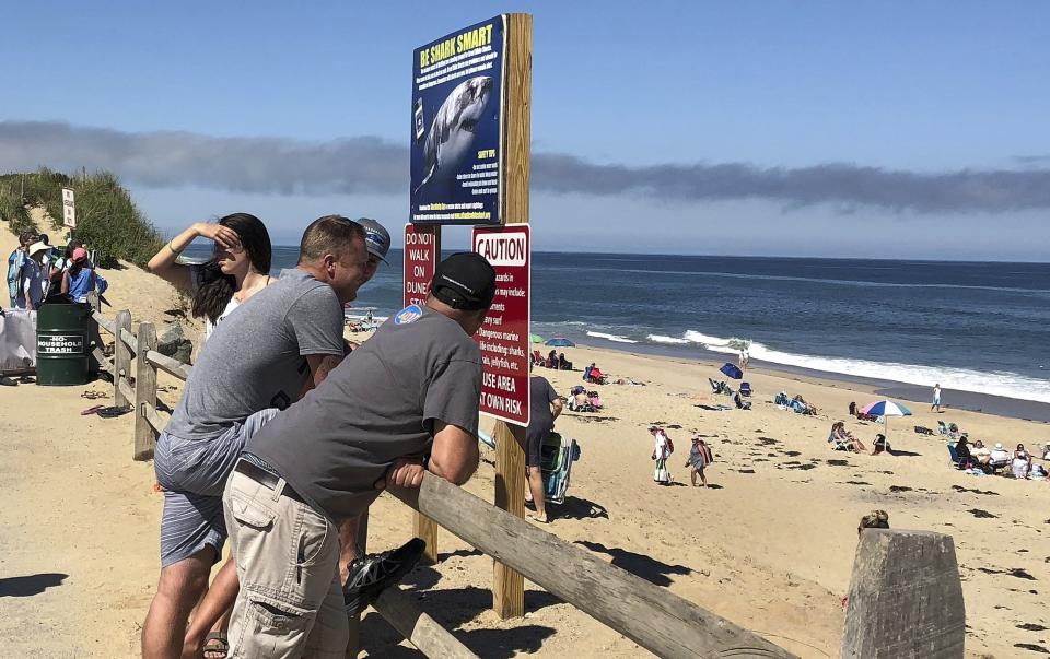 FILE - In this Sept. 15, 2018 file photo, people look out at the shore after a shark attack at Newcomb Hollow Beach in Wellfleet, Mass., where a 26-year-old was attacked and later died at a hospital. Local chamber of commerce data suggests Cape Cod lodging and beach visit numbers are down in summer 2019, after uncommon tornados hit just one year after a pair of shark attacks. (AP Photo/Susan Haigh, File)