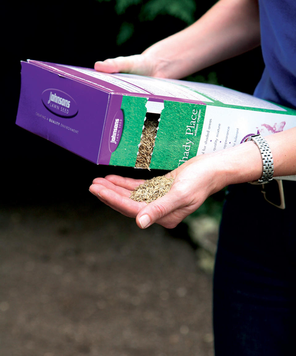 person tipping grass seed from a box into their hand