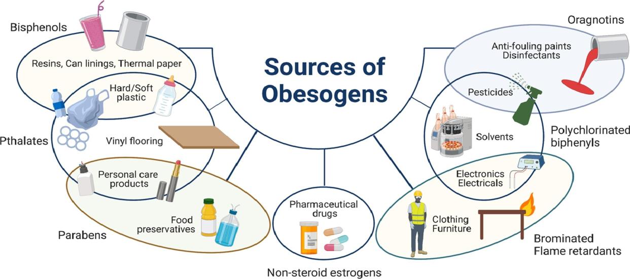 Sources of obesogens. Biochemical Pharmacology