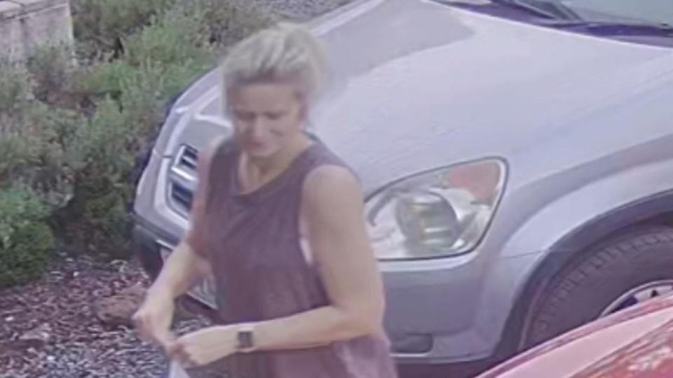 One of the last images of the missing mum. Picture: Supplied
