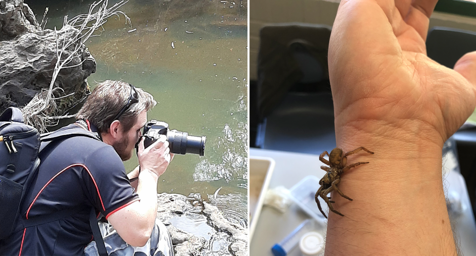 Split screen. Left: Ben Shoard takes a photograph by the water. Right: A spider crawls on Mr Shoard's arm