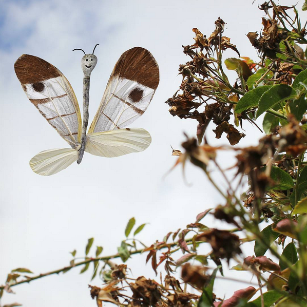 This butterfly is happy to see you