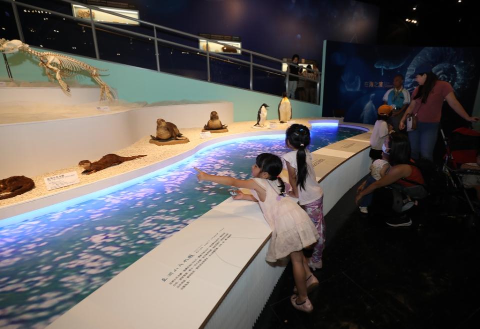 《圖說》《在海之濱—古生物的奇幻世界》特展。（科博館提供）