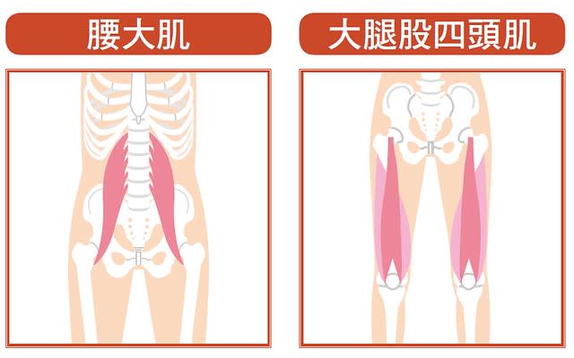 弓箭步肌肉體操：鍛鍊這裡！腰大肌、大腿股四頭肌