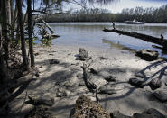 <p>Tree limbs knocked over by Hurricane Matthew in 2016 litter the shoreline as a boat passes by an inlet in the Indian River Lagoon, Fla., Friday, Feb. 10, 2017 America’s most biologically diverse waterway is seriously ill. Despite hundreds of millions of tax dollars spent to reduce pollution in Florida’s 153-mile-long Indian River Lagoon, an Associated Press analysis of water quality data from 2000-2015 found stark increases in pollutants that cause harmful algal blooms. (Photo: John Raoux/AP) </p>