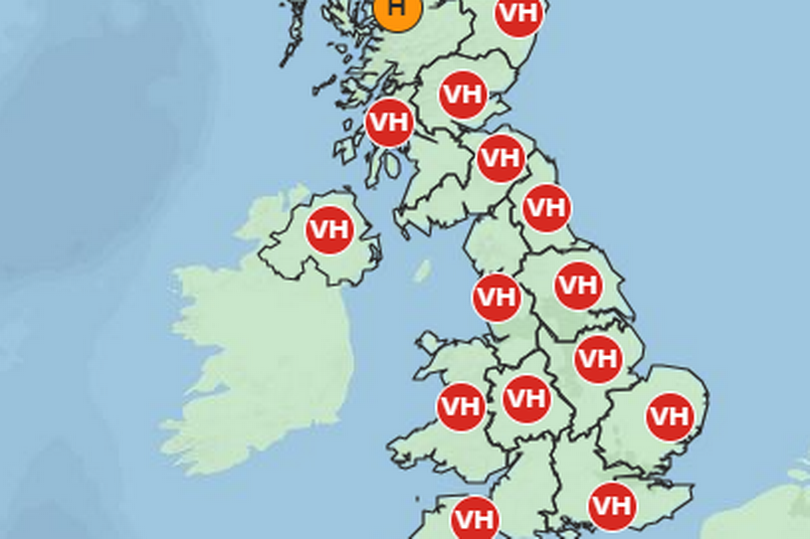 Pollen levels on Monday, June 24