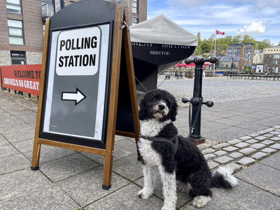 Henry, a six year old labradoodle, waits outside a polling station near the SS Great Britain on Brunel Square in Bristol, England, whilst their owner votes in the Local elections, Thursday May 6, 2021. Millions of people across Britain will cast a ballot on Thursday, in local elections, the biggest set of votes since the 2019 general election. (Claire Hayhurst/PA via AP)