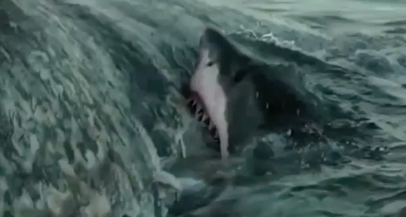 Huge sharks filmed in sperm whale carcass feeding frenzy