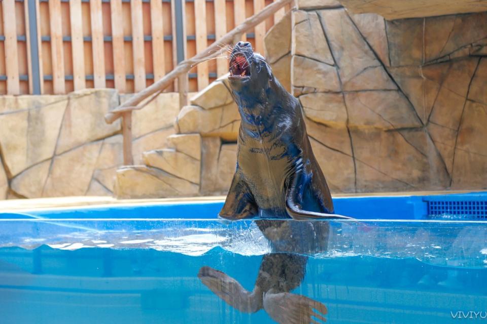 桃園水族館「Xpark」