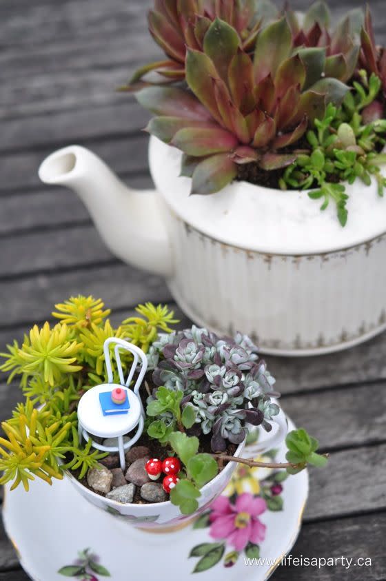 teacup fairy garden