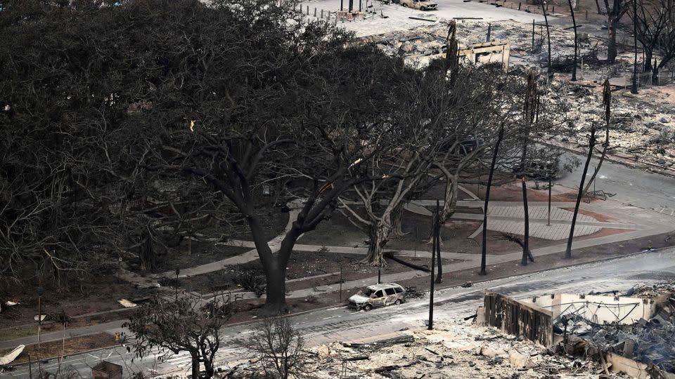 An aerial image shows the historic banyan tree surrounded by burned cars in Lahaina following the wildfires in western Maui - Patrick T. Fallon/AFP via Getty Images