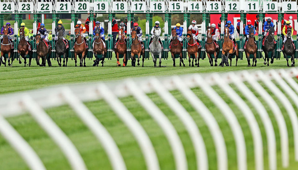 Horses at the start of a race. (Source: Getty)