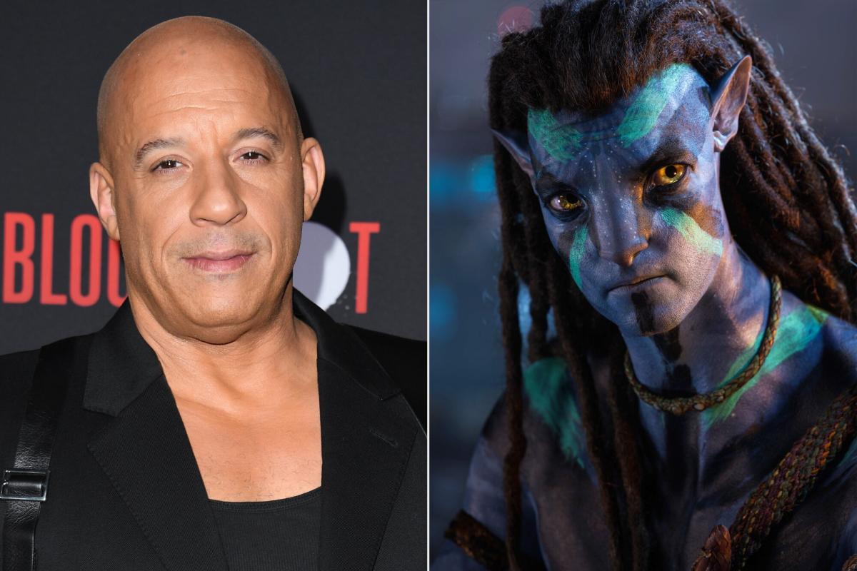 Vin Diesel is not in 'Avatar' sequels, producer clarifies