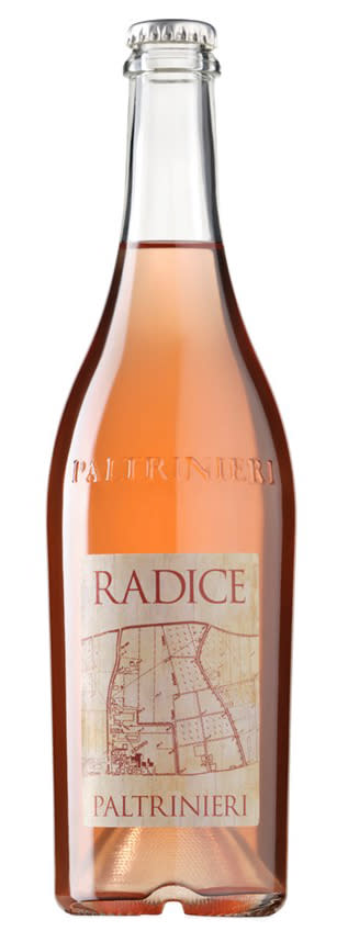 <p><a href="https://go.redirectingat.com?id=74968X1596630&url=https%3A%2F%2Fwww.wine.com%2Fproduct%2Fcantina-paltrinieri-radice-lambrusco-di-sorbara-2021%2F1150678&sref=https%3A%2F%2Fwww.veranda.com%2Fluxury-lifestyle%2Fentertaining%2Fg36465407%2Frose-champagne-bottles%2F" rel="nofollow noopener" target="_blank" data-ylk="slk:Shop Now;elm:context_link;itc:0;sec:content-canvas" class="link ">Shop Now</a></p><p>Cantina Paltrinieri Radice Lambrusco di Sorbara 2021</p><p>$23.99</p><p>wine.com</p>