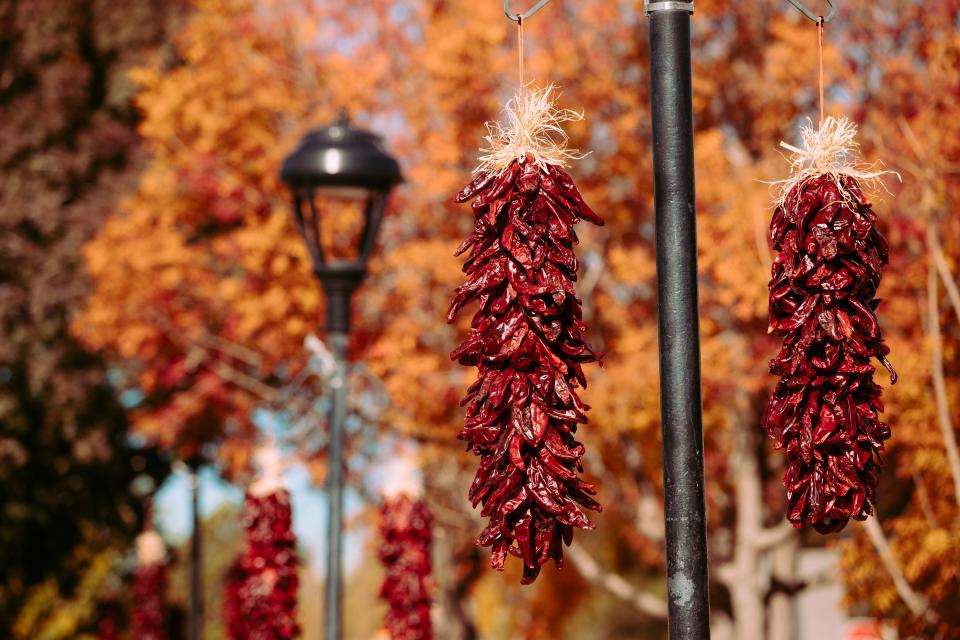 Chile ristras hang at the Mesilla Plaza on Thursday, Dec. 2, 2021.