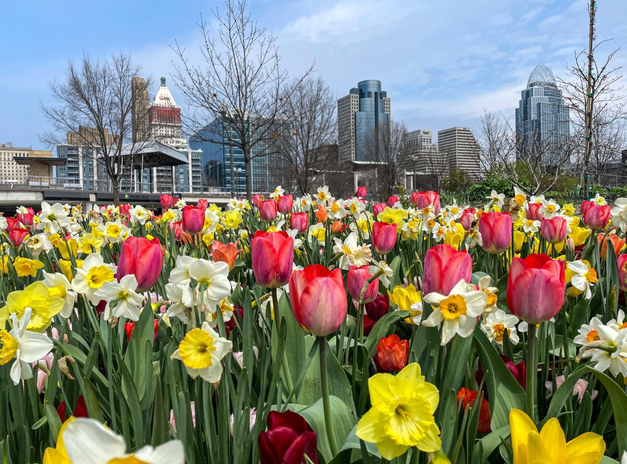 Downtown's Smale Park is one of the Cincinnati Parks Department's newest and most expensive parks.