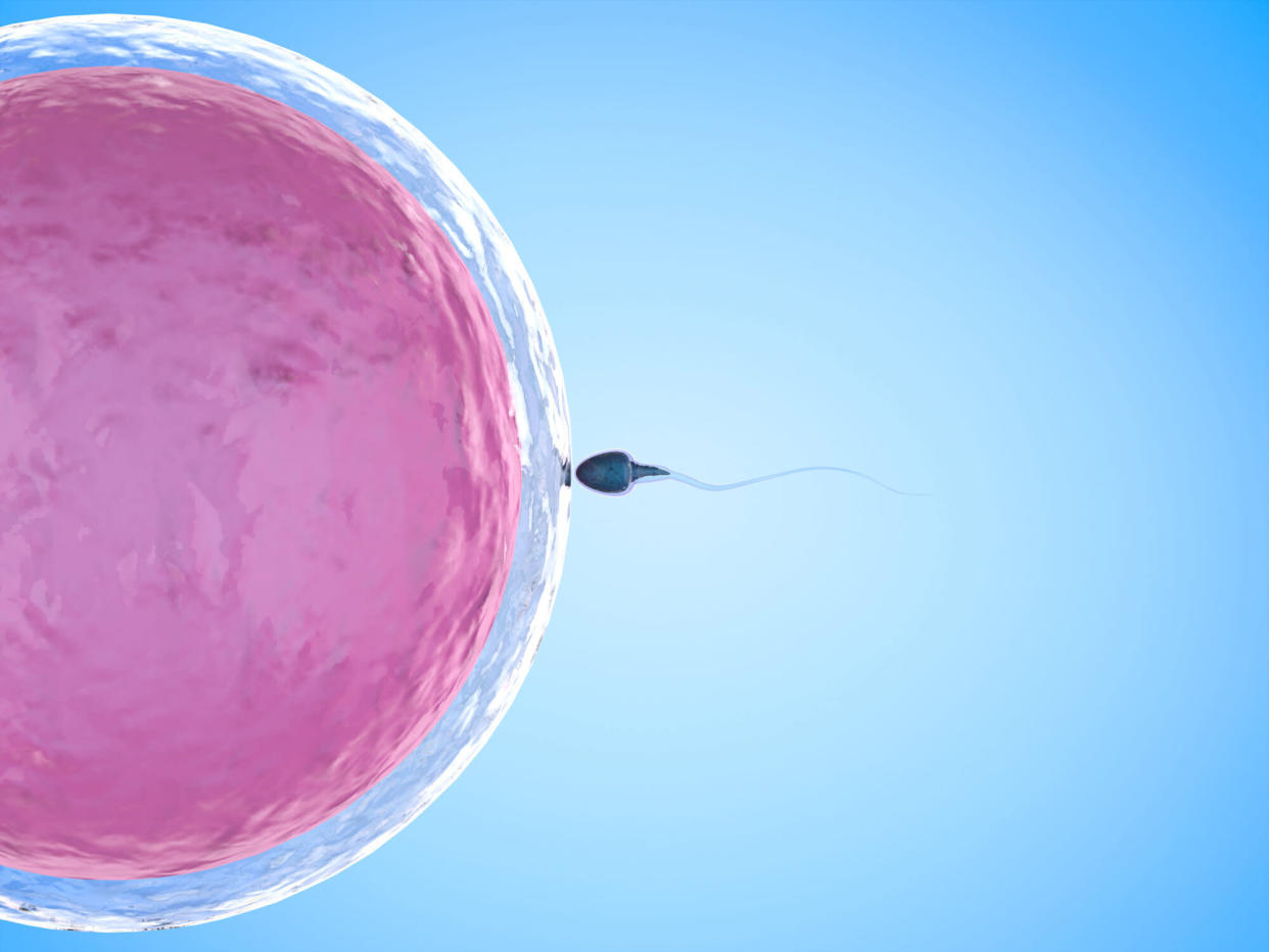 New research is recommending men freeze their sperm [Photo: Getty]