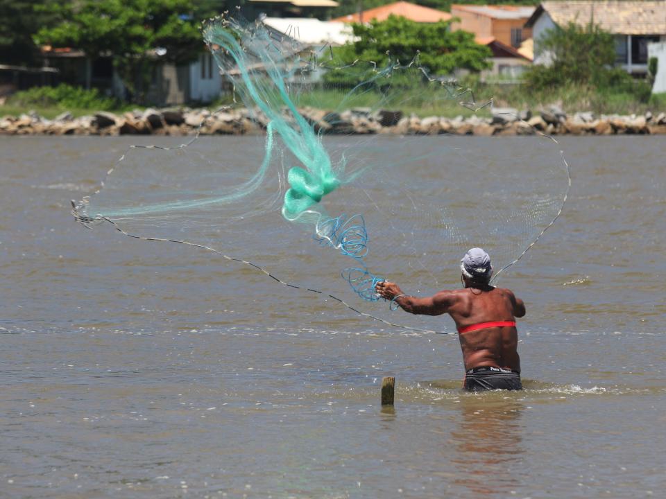 A man seen from the back wading in water throws a green circular net in the water