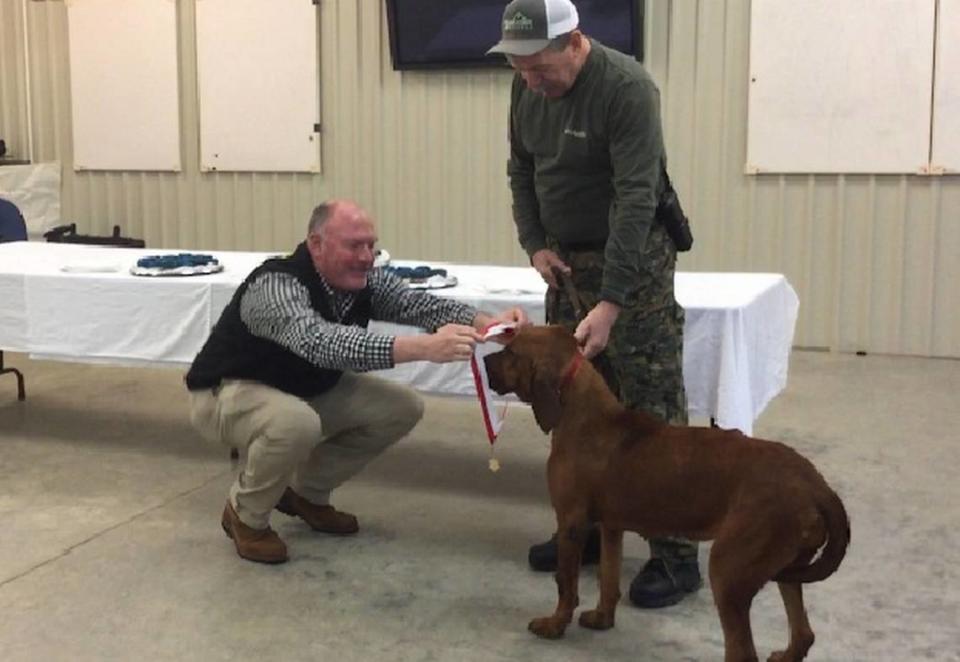 York County Sheriff Kevin Tolson, left, awards Gabby the K-9 dog the South Carolina medal of valor for her heroics during a police shooting in January 2018. At right is Sgt. Randy Clinton, Gabby’s handler who was shot twice by a suspect.