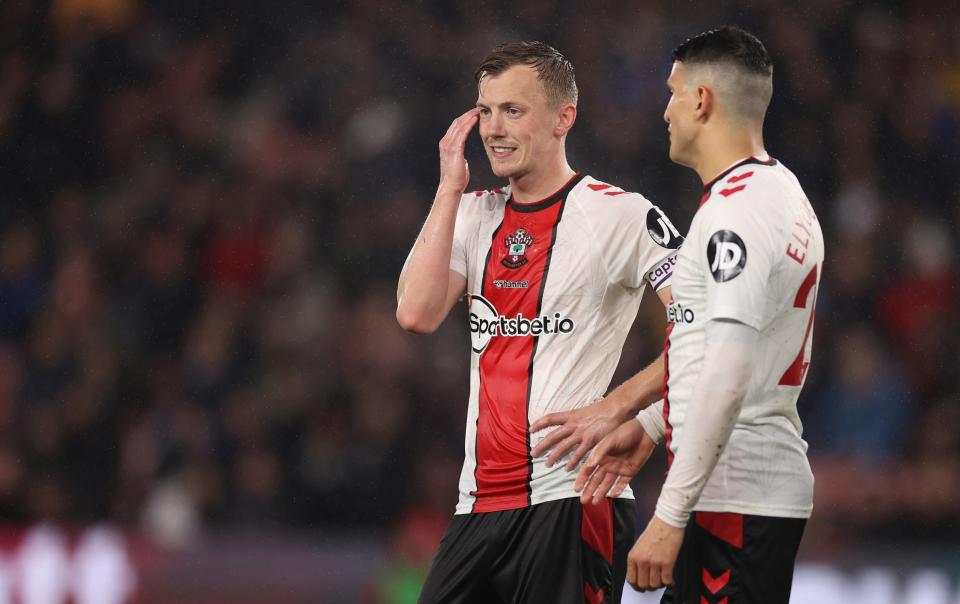 James Ward-Prowse of Southampton reacts during the Premier League match between Southampton FC and AFC Bournemouth at Friends Provident St.  Mary's Stadium - Getty Images/Ryan Pierse