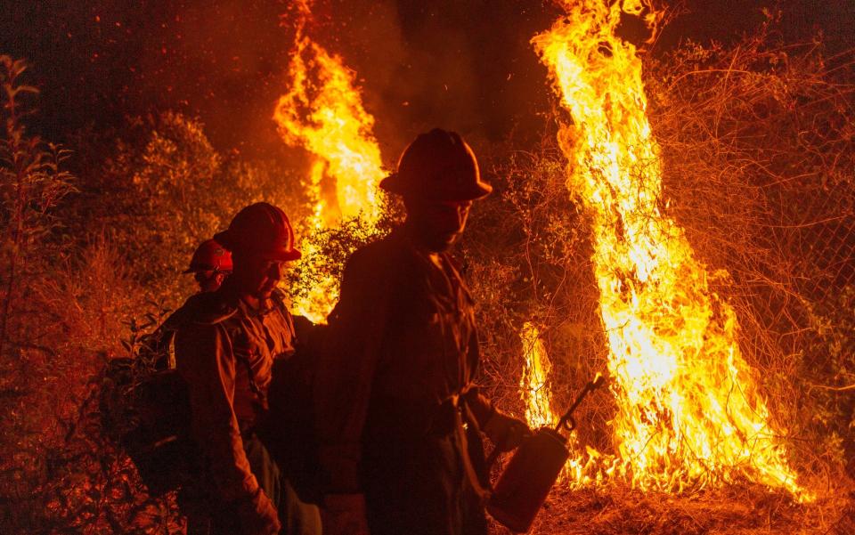 Fire fighters tackle wild fires in California this month which have been linked to global warming  - David McNew/Getty Images