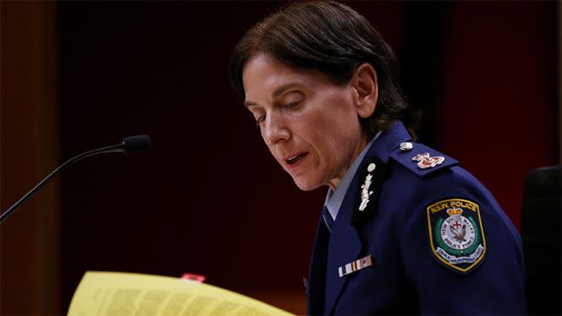 NSW Police Force Deputy Commissioner Catherine Burn appears before a parliamentary hearing in January. Photo: AAP