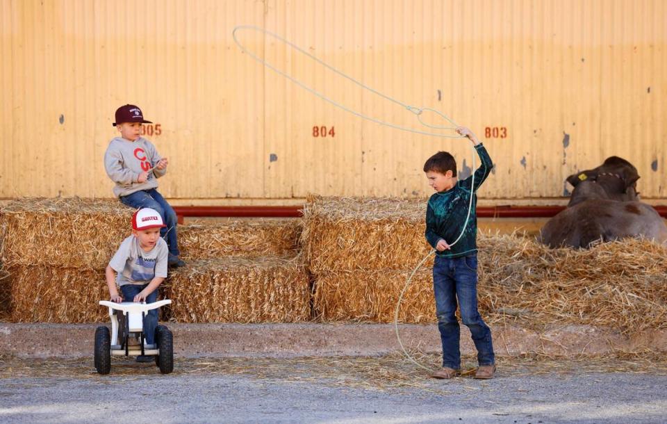 Bode Halamiek, 8, of Mason, right, tries to rope a toy steer while playing with Kaden Klepac, 5, of Fredericksburg, top left, and Hayden Hohertz, 6, of Zephyr at the Fort Worth Stock Show & Rodeo.