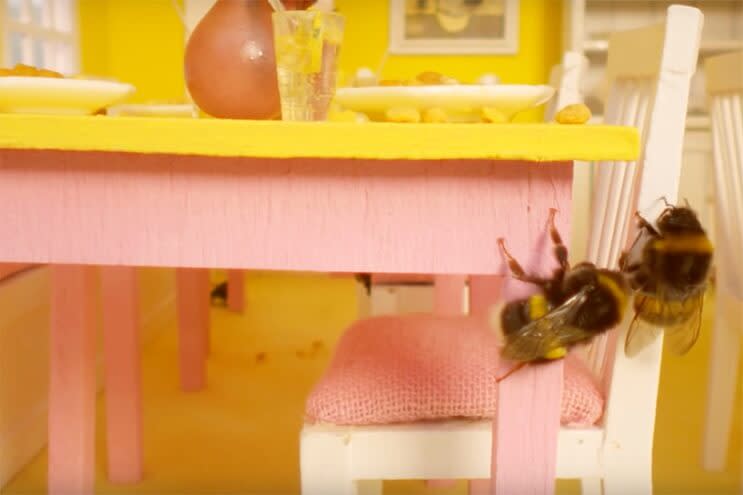 Detrás de una deliciosa fruta está la labor de estos pequeños insectos. Alrededor del 84% de los cultivos para el consumo humano necesitan a las abejas o a otros insectos para polinizarlos y aumentar su rendimiento y calidad. Así lo reporta la Organización de las Naciones Unidas para la Alimentación y la Agricultura (FAO, por sus siglas en inglés). 