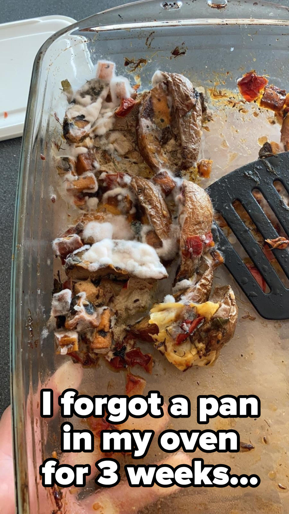 Furry potatoes and other food items stuck to a pan that they left in their oven for three weeks