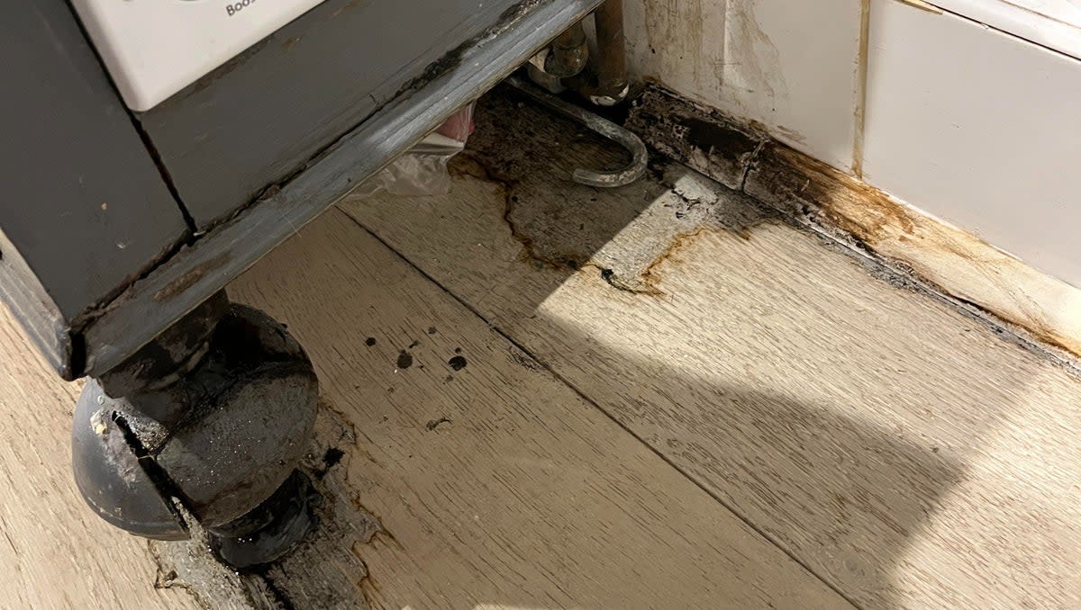 Her home is now riddled with damp and mould which she is having to pay for herself (Anyssa Neumann)