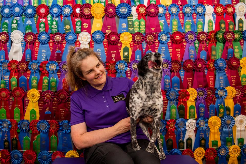 Anjie Crow sits with her dog, Zoey, for a portrait in front of her ribbon wall, showcasing all of Zoey’s wins from previous dog shows, at Anjie Crow's home in Hermitage, Tenn., Wednesday, June 29, 2022. Crow adopted Zoey from a shelter and began training her to compete in agility competitions. Over the last five years Zoey has won countless ribbons and also competed in the Westminster Dog Show. 