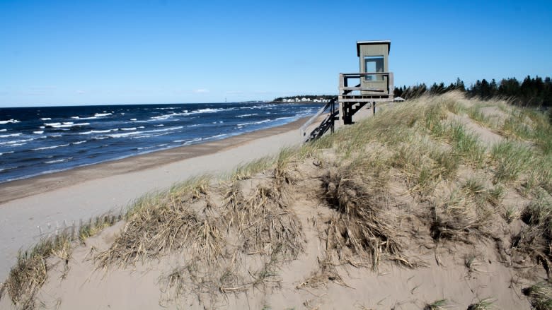 Parlee Beach water study can't nail down cause of fecal contamination