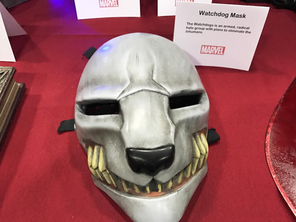 Watchdog Mask