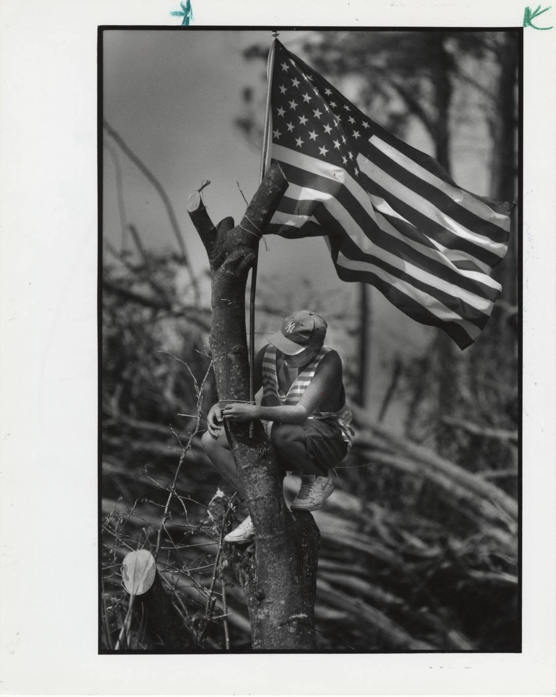 After clearing tree debris left in his front yard by Hurricane Andrew a little over a week earlier, Chris Schere, then 14, erected his personal symbol of hope at his South Miami-Dade home high in a trimmed tree on Sept. 4, 1992.