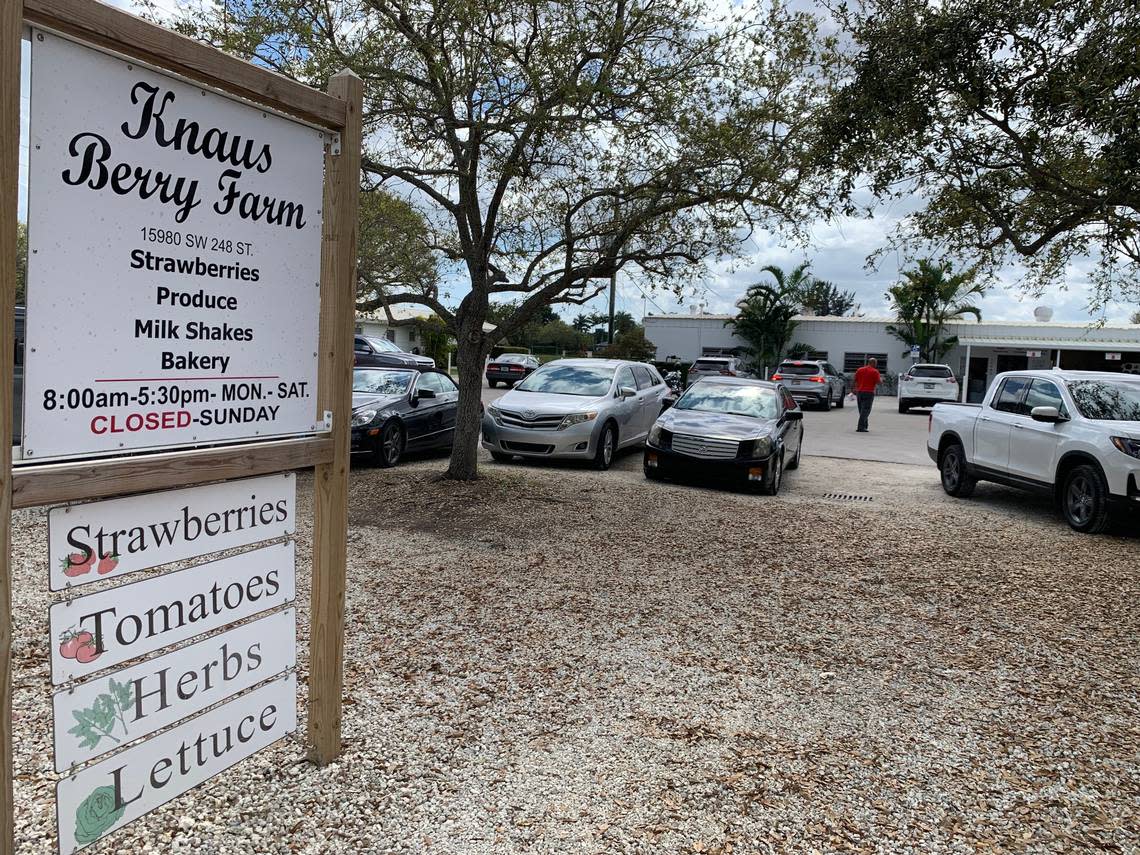 Knaus Berry Farm signage on 15980 SW 248th St., in Homestead, on Feb. 23, 2023.