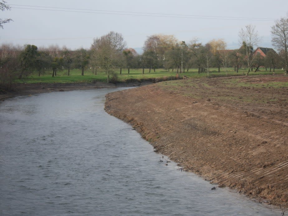 The denuded banks will mean more flooding, erosion and pollutants being washed into the legally-protected riverHerefordshire Wildlife Trust