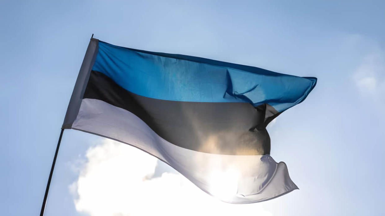 Estonian flag. Stock photo: Getty Images