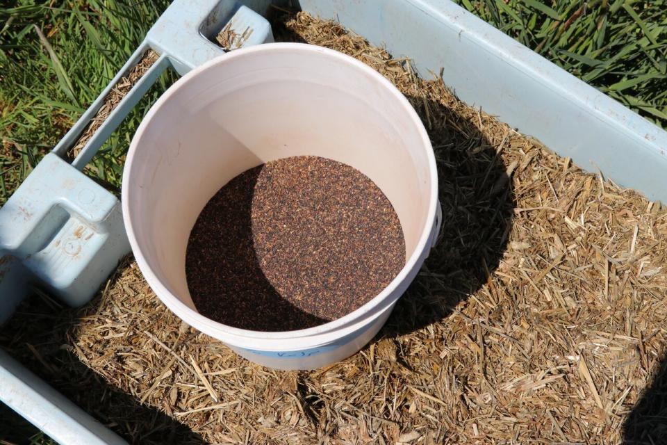 The mix of dry food containing kelp. 