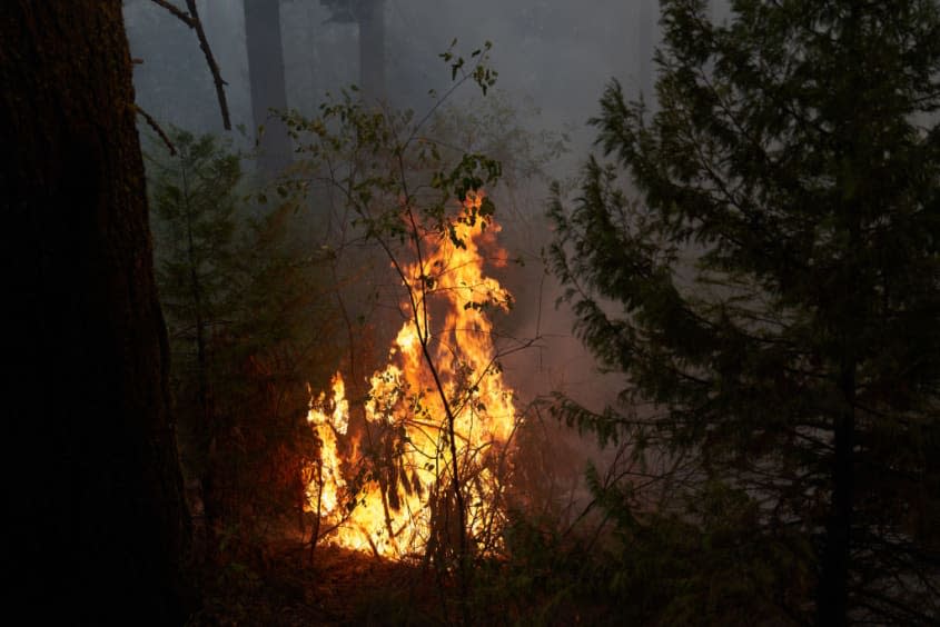 Flames from the Caldor Fire.